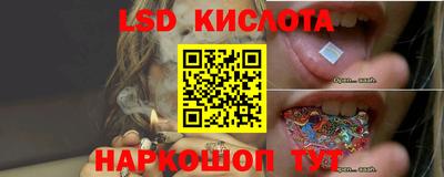 a pvp Моздок