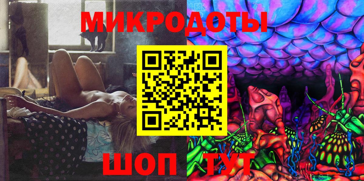 Галлюциногенные грибы Psilocybine cubensis Шадринск